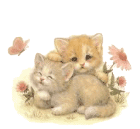 x-kittens01.gif